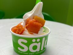 -Salud撒露欧洲冻酸奶(五道口购物中心店)