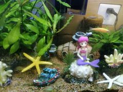 -大润发(姑嫂树店)