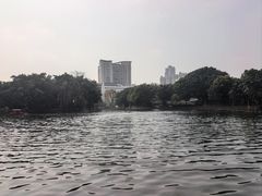 -荔湾湖公园