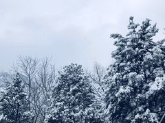 -秦岭终南山世界地质公园翠华山景区