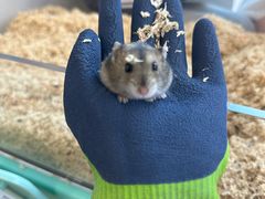 -怪兽屋·羊驼·猫咖·狗咖(俊华广场店)