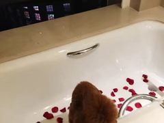 -青岛富力艾美酒店