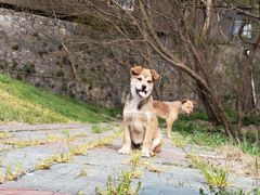 -南京金牛湖风景区