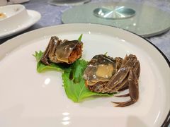 秘制花雕蟹-新光酒家·河豚·海鲜·蟹料理(浦东店)