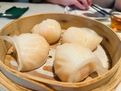 -相思林金岛饭店(青山湖店)