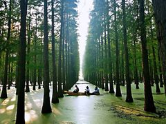 -南京银杏湖乐园