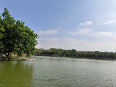 -番禺大夫山森林公园