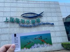 -上海海洋水族馆