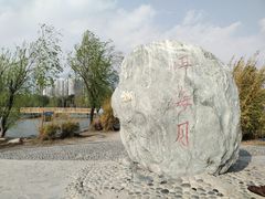 -洱海月湿地公园