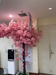 -西安壹加壹医疗美容医院