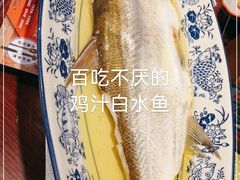 -南京大牌档(香港广场店)