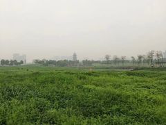 -洋湖国家湿地公园