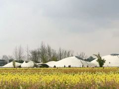 -中国天府农业博览园