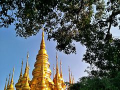 -西双版纳勐泐文化旅游区