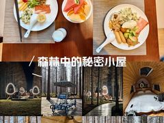 -黄海国家森林公园