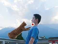 -喵屿·大理花园猫咖