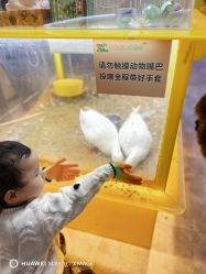 -神奇动物撸宠馆·羊驼·小浣熊·异宠(豫园店)