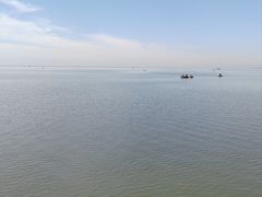 -微山湖红荷湿地景区