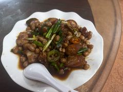 花生焖猪尾-荔枝红五号农庄