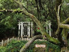 -蝴蝶泉公园