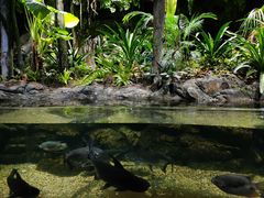 -江和美海洋公园