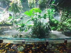 -太平洋海底世界