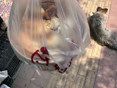 -妙味当棋子烧饼(凤凰世嘉店)