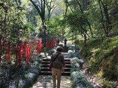-梦姑塘文化公园