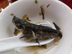 -品雅轩农家乐