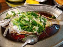 -农汤老店(顺联公园里店)