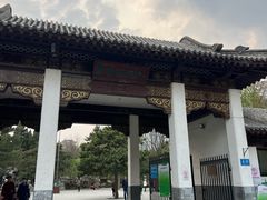 -团结湖公园