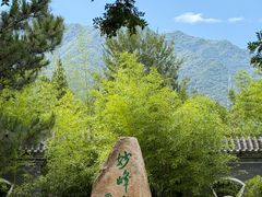 -阳台山自然风景区