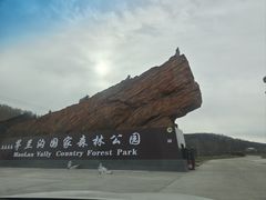 -茅兰沟国家森林公园
