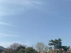 -鬼笑石后山停车场