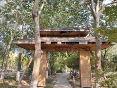 -大兴滨河森林公园