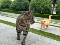 -狼山风景名胜区