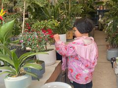 -三圣花乡旅游区