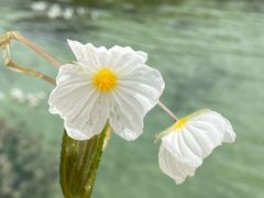 -丽江泸沽湖景区