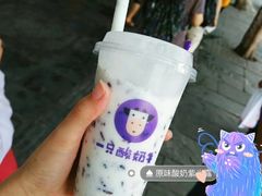 -一只酸奶牛(八一路店)