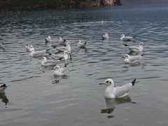 -丽江泸沽湖景区