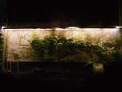 -小洲村