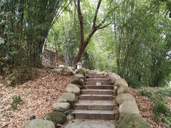 -三江森林温泉度假区