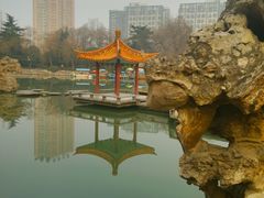 -西苑公园