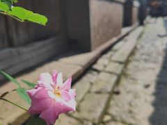 -皤滩古镇