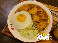 -金龙咖喱
