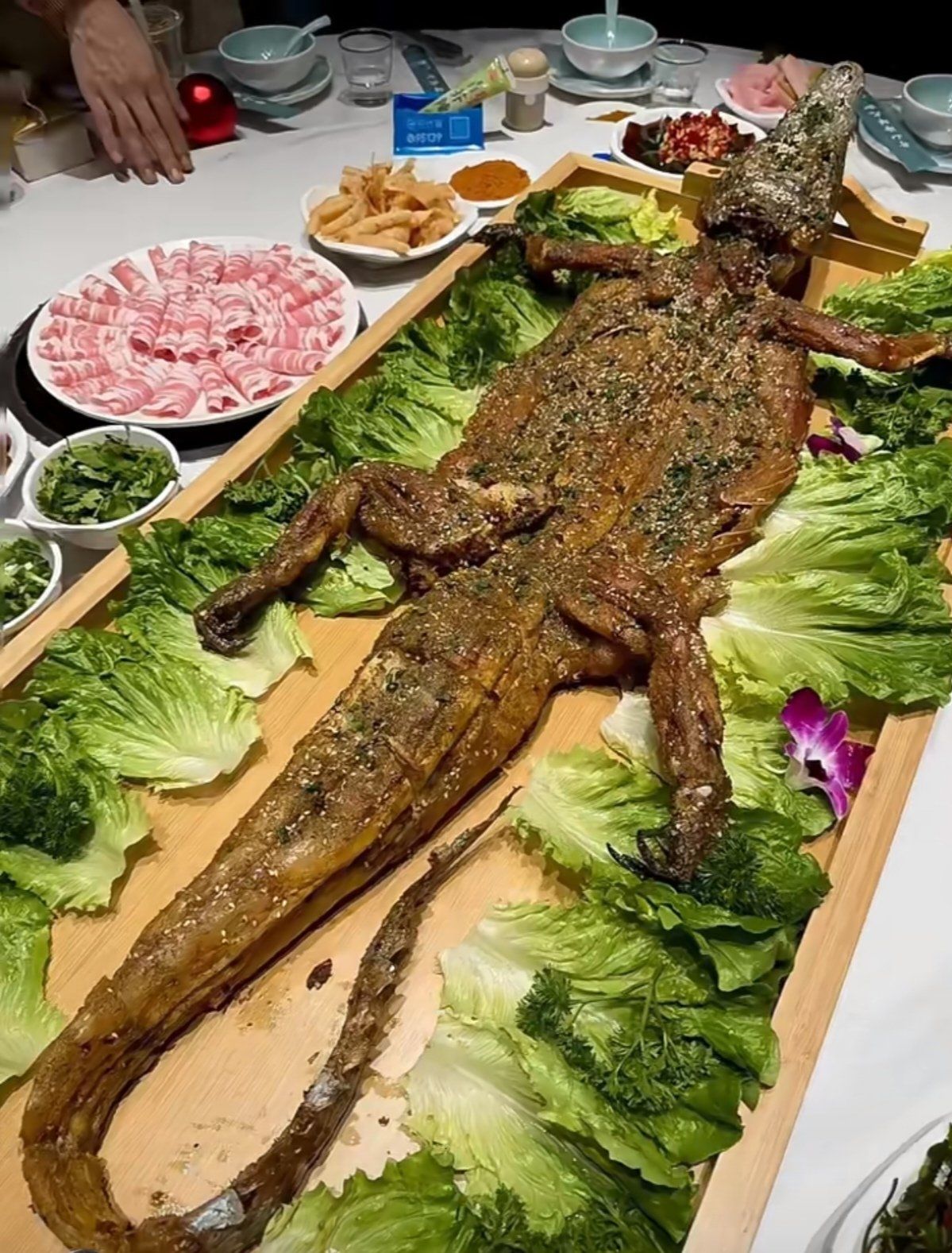 新上鳄鱼宴真的很棒,鳄鱼的止咳润肺效果确