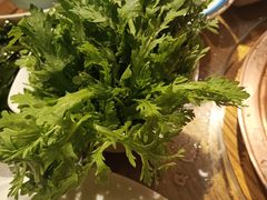 -额尔敦传统涮(光明路店)