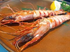 -蟹之国·精品蟹料理(极地店)