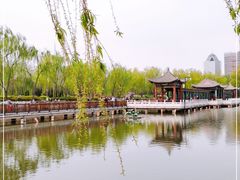 -莲花池公园