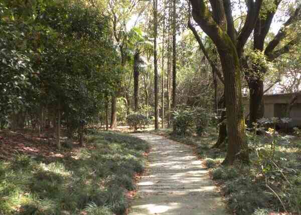 金一路小公园-"平时去好像就没什么意思了整个公园慢慢.